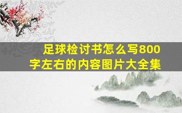 足球检讨书怎么写800字左右的内容图片大全集