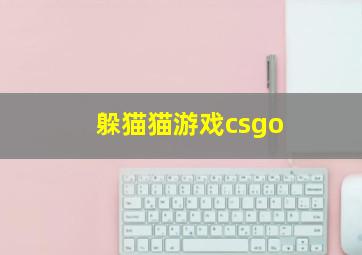 躲猫猫游戏csgo