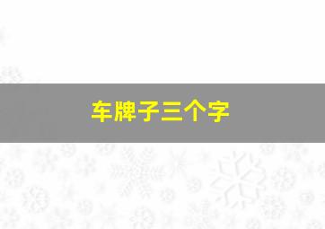 车牌子三个字