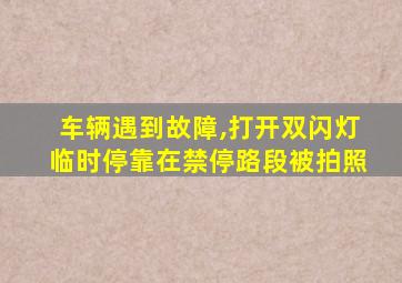 车辆遇到故障,打开双闪灯临时停靠在禁停路段被拍照