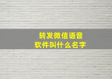 转发微信语音软件叫什么名字