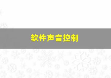 软件声音控制