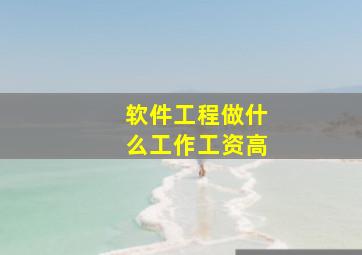 软件工程做什么工作工资高