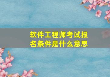 软件工程师考试报名条件是什么意思