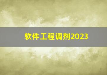 软件工程调剂2023