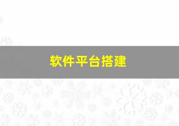 软件平台搭建