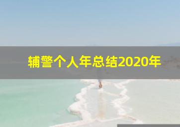 辅警个人年总结2020年