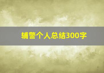 辅警个人总结300字