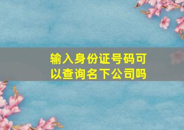 输入身份证号码可以查询名下公司吗