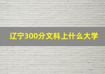 辽宁300分文科上什么大学