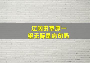 辽阔的草原一望无际是病句吗