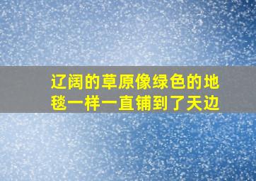 辽阔的草原像绿色的地毯一样一直铺到了天边