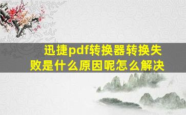 迅捷pdf转换器转换失败是什么原因呢怎么解决