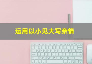 运用以小见大写亲情