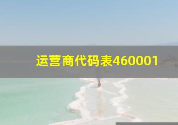 运营商代码表460001