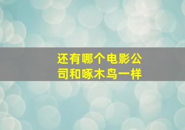 还有哪个电影公司和啄木鸟一样