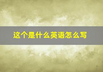 这个是什么英语怎么写