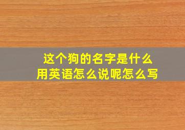 这个狗的名字是什么用英语怎么说呢怎么写