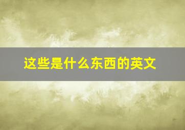 这些是什么东西的英文