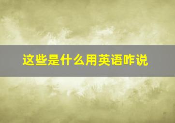 这些是什么用英语咋说