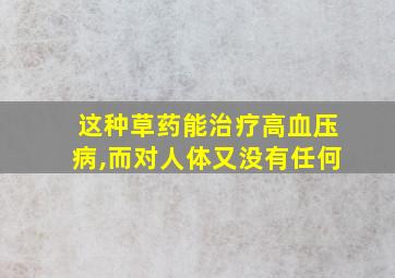 这种草药能治疗高血压病,而对人体又没有任何