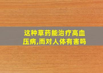 这种草药能治疗高血压病,而对人体有害吗