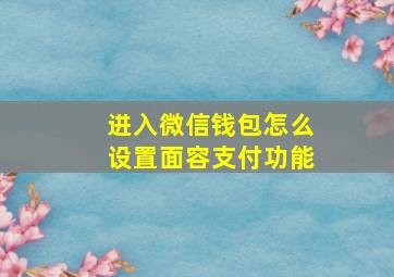 进入微信钱包怎么设置面容支付功能