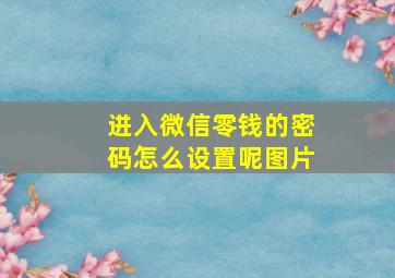 进入微信零钱的密码怎么设置呢图片