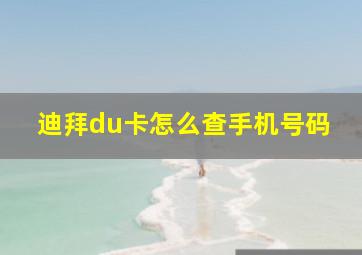 迪拜du卡怎么查手机号码