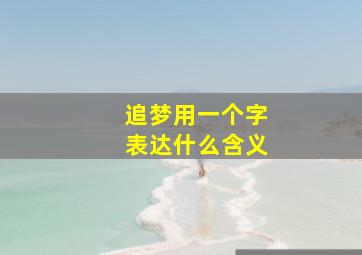 追梦用一个字表达什么含义