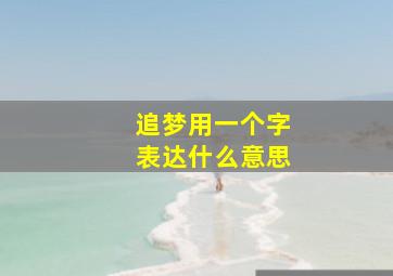 追梦用一个字表达什么意思