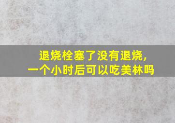 退烧栓塞了没有退烧,一个小时后可以吃美林吗