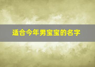 适合今年男宝宝的名字