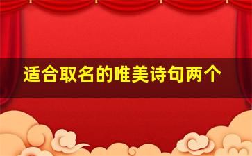 适合取名的唯美诗句两个