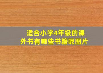 适合小学4年级的课外书有哪些书籍呢图片