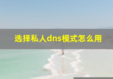 选择私人dns模式怎么用