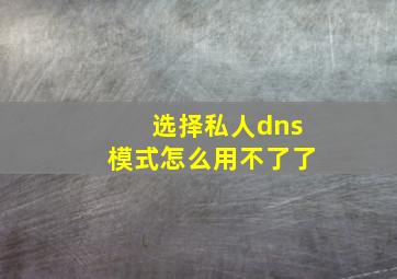 选择私人dns模式怎么用不了了