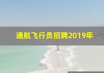 通航飞行员招聘2019年