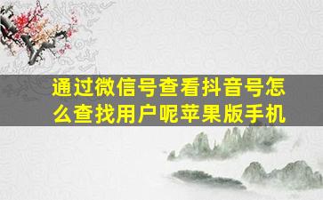 通过微信号查看抖音号怎么查找用户呢苹果版手机