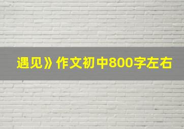 遇见》作文初中800字左右