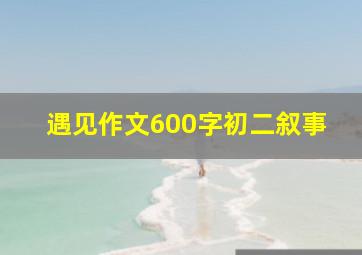 遇见作文600字初二叙事