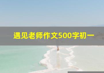 遇见老师作文500字初一