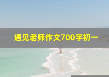 遇见老师作文700字初一