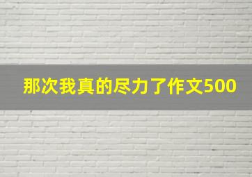 那次我真的尽力了作文500