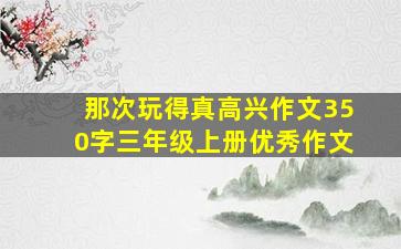 那次玩得真高兴作文350字三年级上册优秀作文