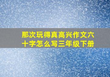 那次玩得真高兴作文六十字怎么写三年级下册