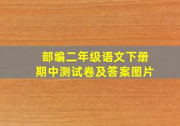 部编二年级语文下册期中测试卷及答案图片