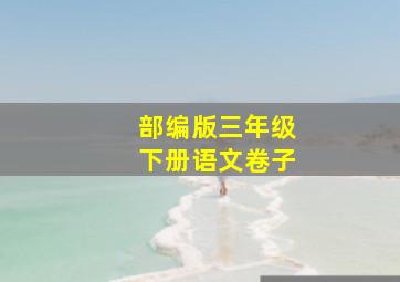 部编版三年级下册语文卷子