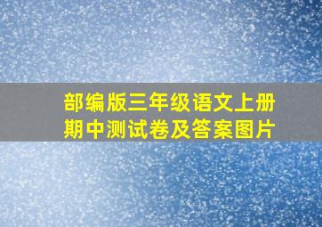 部编版三年级语文上册期中测试卷及答案图片