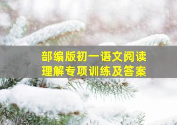 部编版初一语文阅读理解专项训练及答案